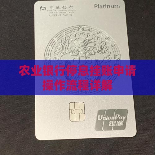 农业银行停息挂账操作流程详解