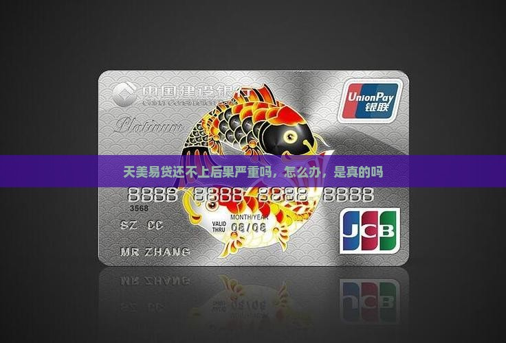 天美易贷还不上后果严重吗