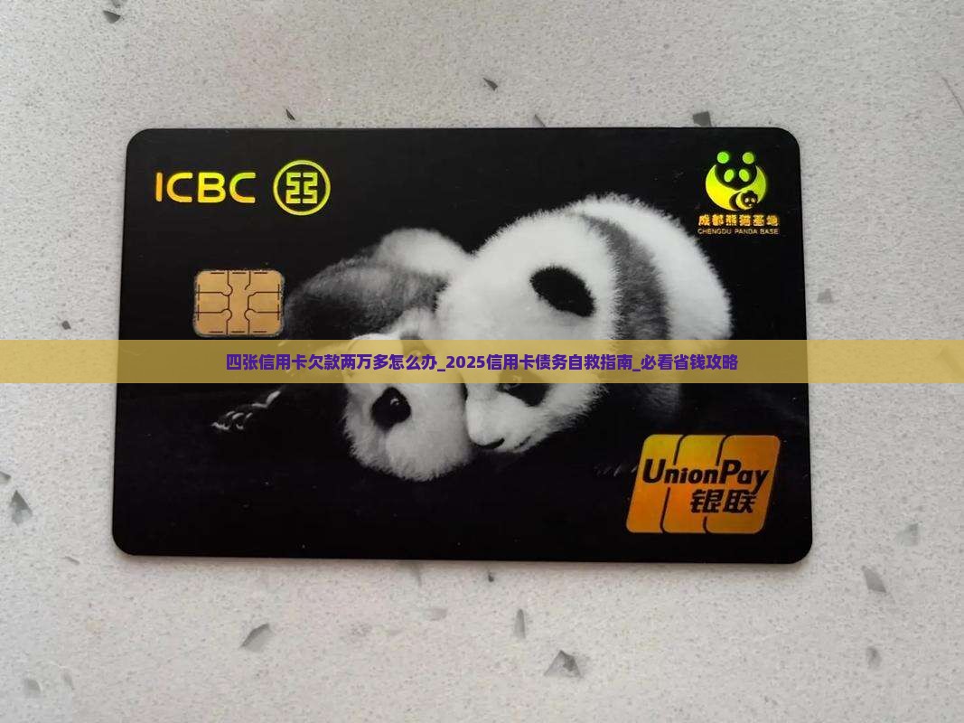 四张信用卡欠款两万多怎么办