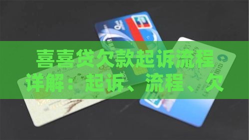 喜喜贷欠款起诉流程解析