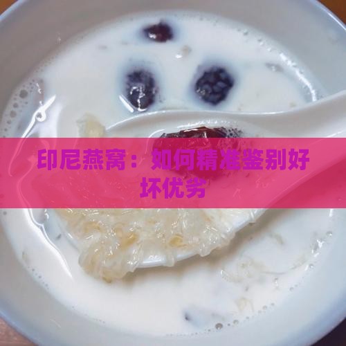 印尼燕窝：如何精准鉴别好坏优劣