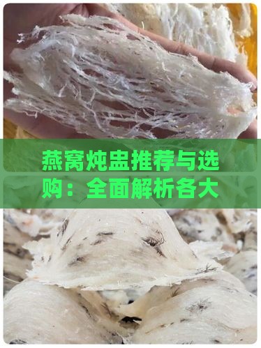 燕窝炖盅推荐与选购：全面解析各大优劣