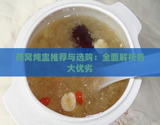 燕窝炖盅推荐与选购：全面解析各大优劣