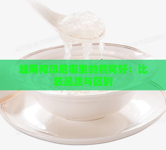 越南和印尼哪里的燕窝好：比较品质与区别