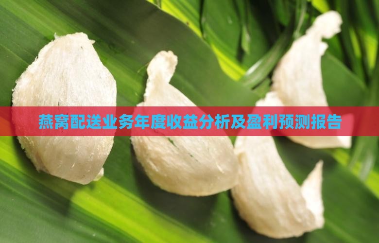 燕窝配送业务年度收益分析及盈利预测报告