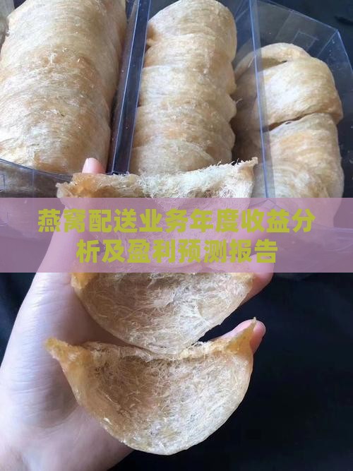 燕窝配送业务年度收益分析及盈利预测报告