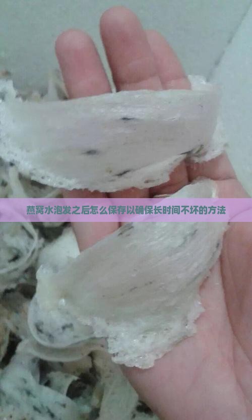 燕窝水泡发之后怎么保存以确保长时间不坏的方法