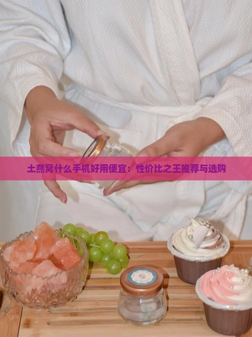 土燕窝什么手机好用便宜：性价比之王推荐与选购