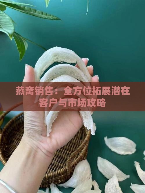 燕窝销售：全方位拓展潜在客户与市场攻略