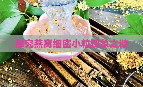 探究燕窝细密小粒现象之谜
