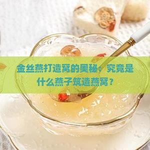 金丝燕打造窝的奥秘：究竟是什么燕子筑造燕窝？