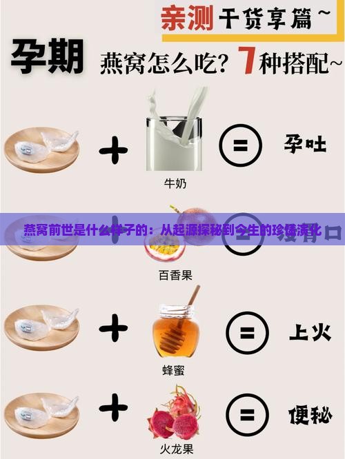 燕窝前世是什么样子的：从起源探秘到今生的珍馐演化