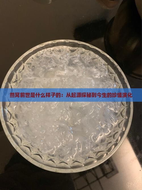 燕窝前世是什么样子的：从起源探秘到今生的珍馐演化