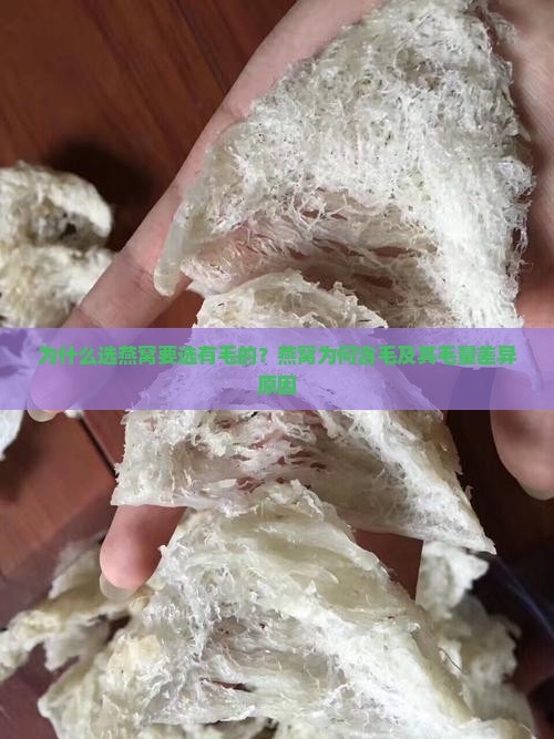 为什么选燕窝要选有毛的？燕窝为何含毛及其毛量差异原因