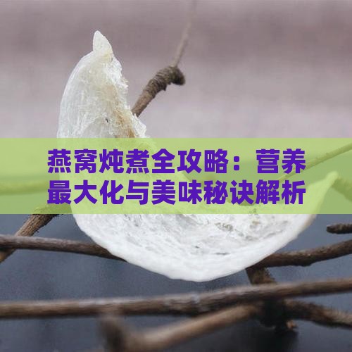 燕窝炖煮全攻略：营养最大化与美味秘诀解析