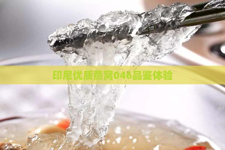 印尼优质燕窝046品鉴体验