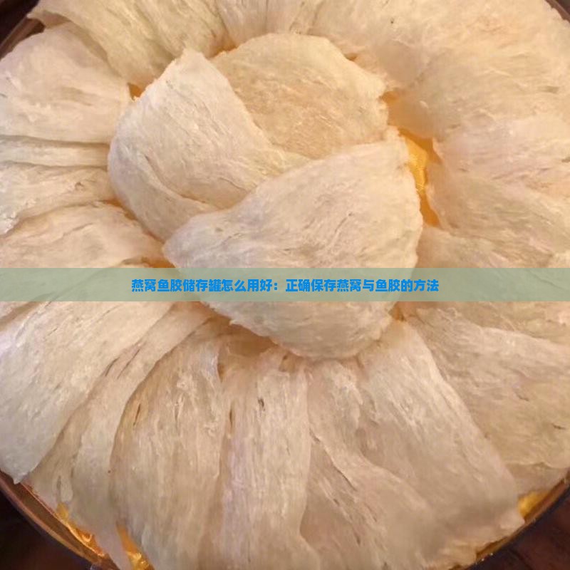 燕窝鱼胶储存罐怎么用好：正确保存燕窝与鱼胶的方法