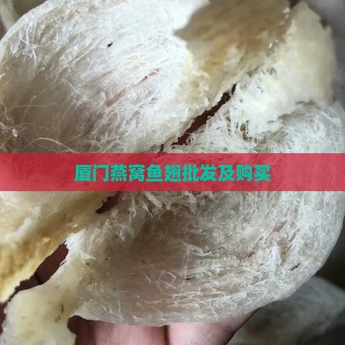 厦门燕窝鱼翅批发及购买