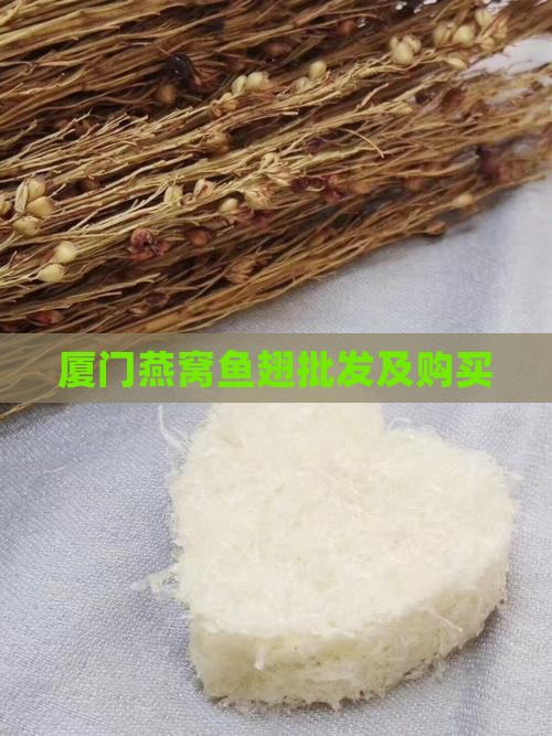 厦门燕窝鱼翅批发及购买