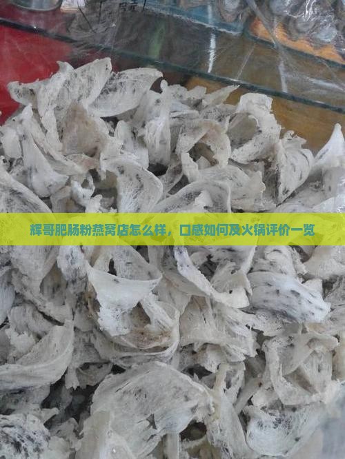 辉哥肥肠粉燕窝店怎么样，口感如何及火锅评价一览