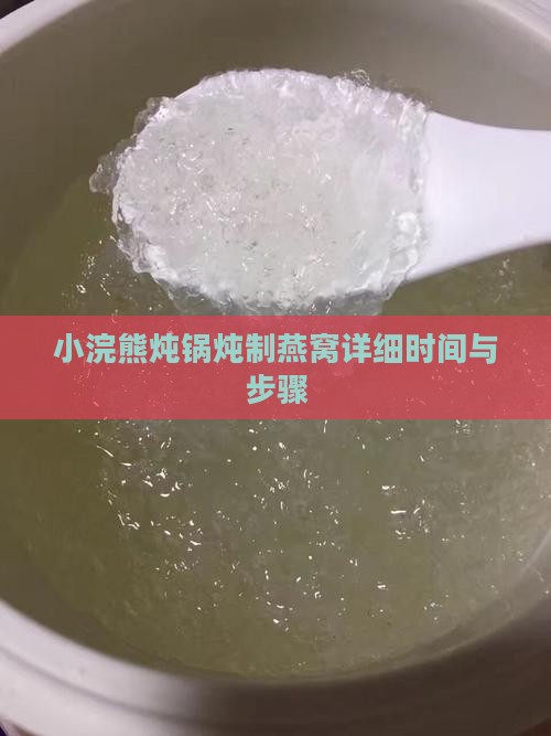 小浣熊炖锅炖制燕窝详细时间与步骤