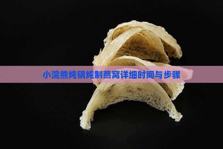 小浣熊炖锅炖制燕窝详细时间与步骤