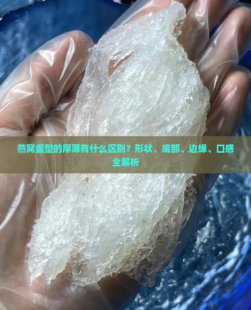 燕窝盏型的厚薄有什么区别？形状、底部、边缘、口感全解析
