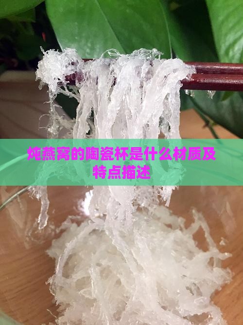 炖燕窝的陶瓷杯是什么材质及特点描述