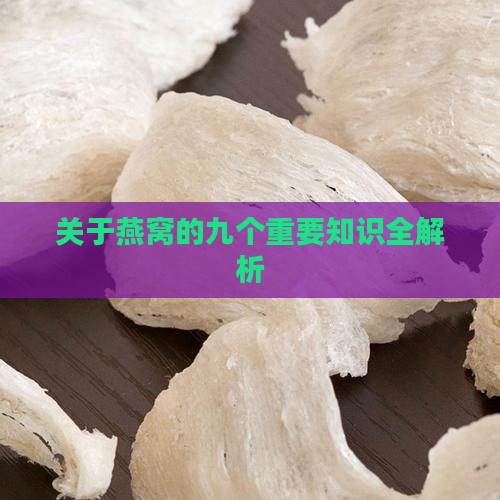 关于燕窝的九个重要知识全解析