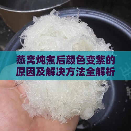 燕窝炖煮后颜色变紫的原因及解决方法全解析