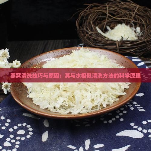 燕窝清洗技巧与原因：其与水相似清洗方法的科学原理