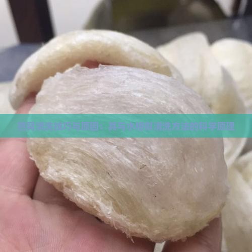 燕窝清洗技巧与原因：其与水相似清洗方法的科学原理