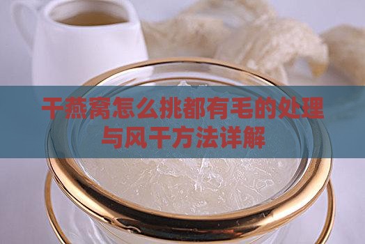 干燕窝怎么挑都有毛的处理与风干方法详解