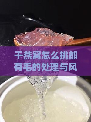 干燕窝怎么挑都有毛的处理与风干方法详解