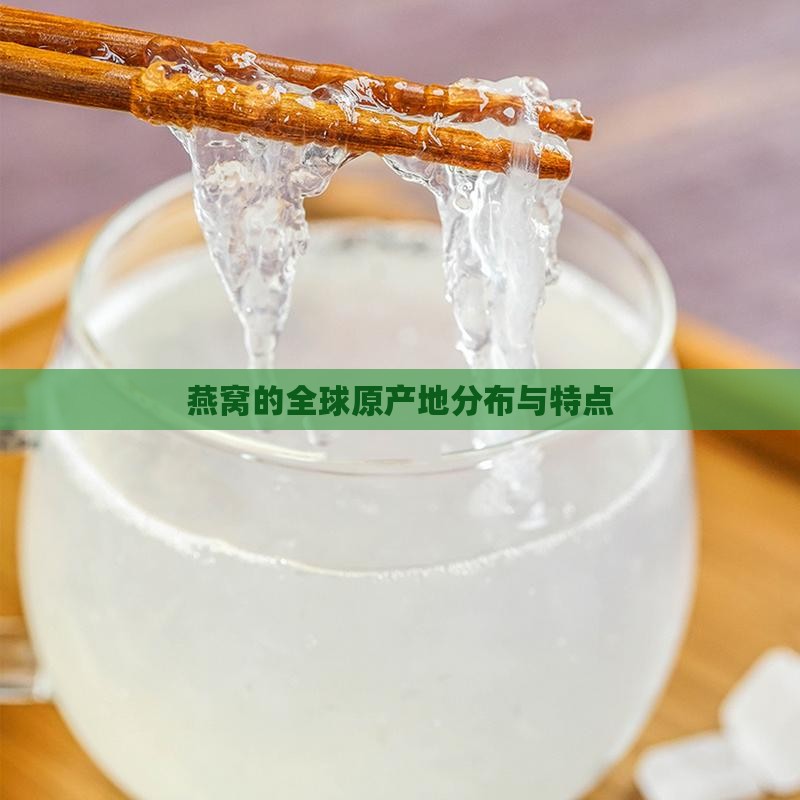 燕窝的全球原产地分布与特点
