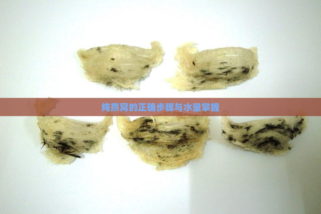 炖燕窝的正确步骤与水量掌握