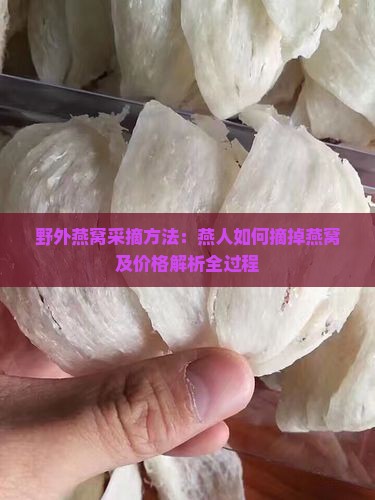 野外燕窝采摘方法：燕人如何摘掉燕窝及价格解析全过程