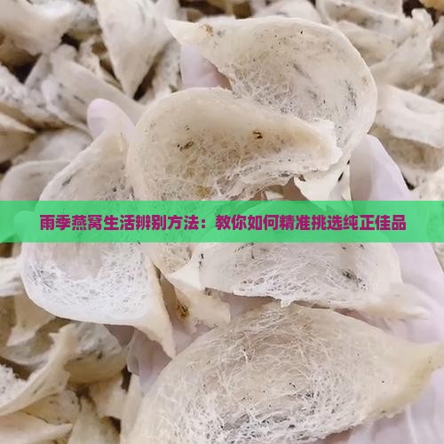 雨季燕窝生活辨别方法：教你如何精准挑选纯正佳品