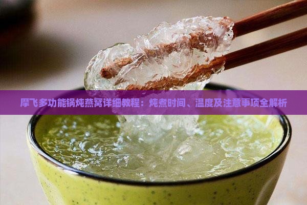 摩飞多功能锅炖燕窝详细教程：炖煮时间、温度及注意事项全解析