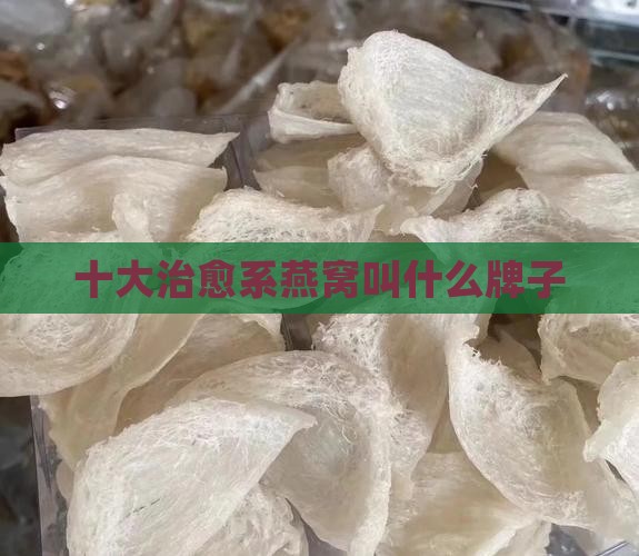 十大治愈系燕窝叫什么牌子