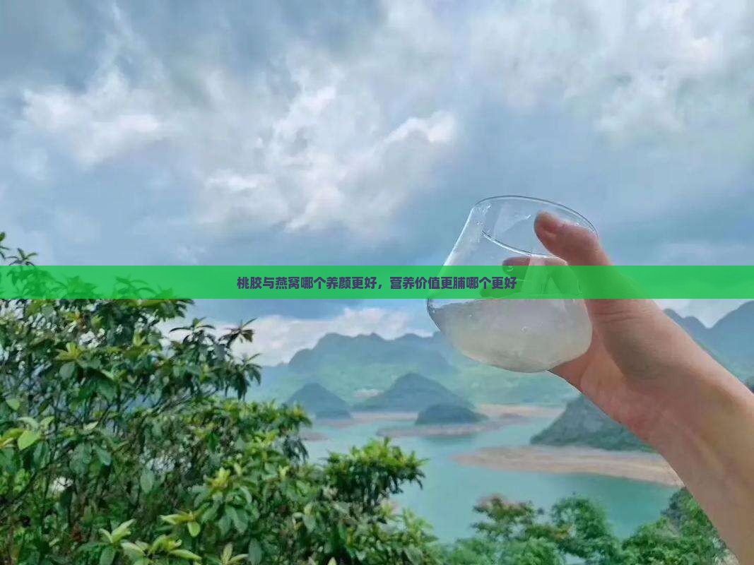 桃胶与燕窝哪个养颜更好，营养价值更脯哪个更好