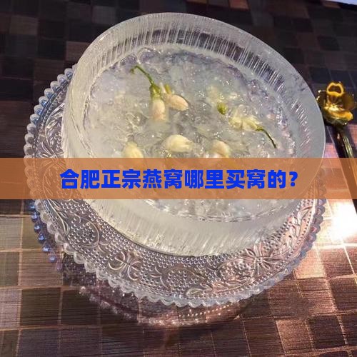 合肥正宗燕窝哪里买窝的？