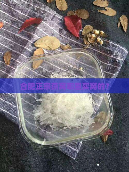合肥正宗燕窝哪里买窝的？