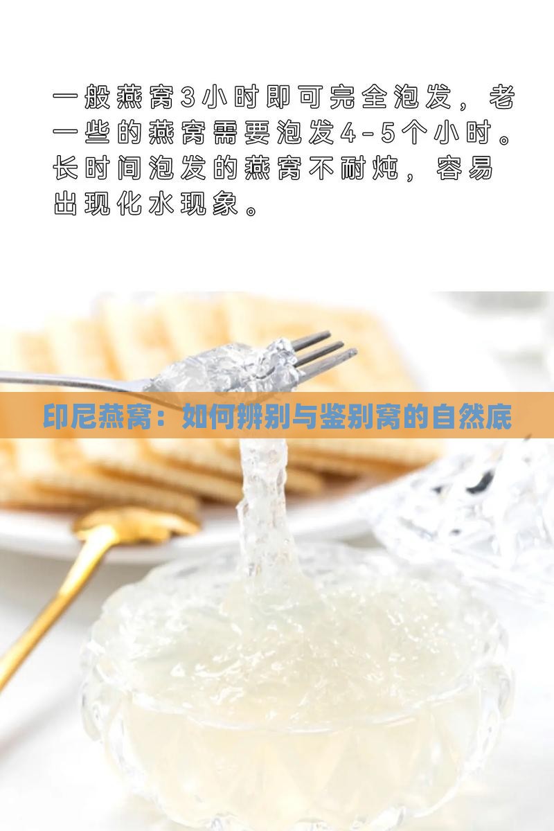 印尼燕窝：如何辨别与鉴别窝的自然底