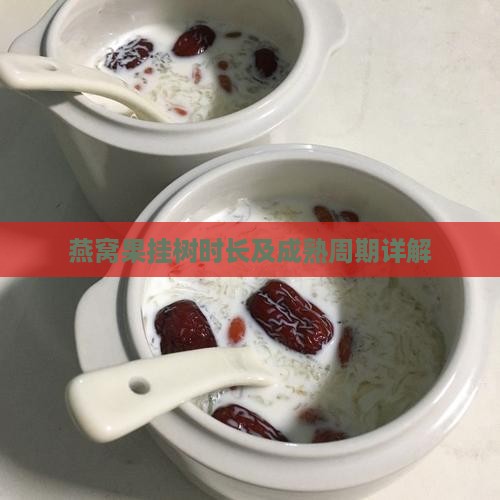 燕窝果挂树时长及成熟周期详解
