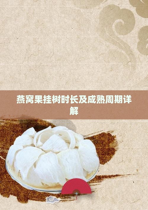 燕窝果挂树时长及成熟周期详解