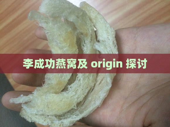 李成功燕窝及 origin 探讨