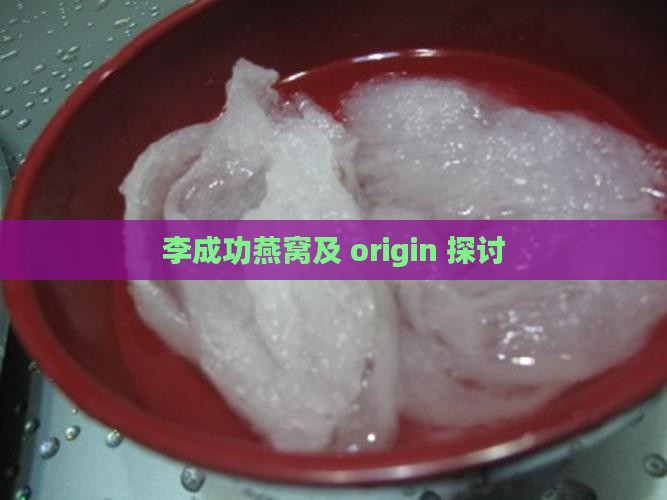 李成功燕窝及 origin 探讨