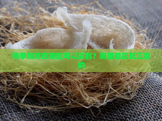 雨季燕窝在哪里可以买到？哪里能买到正宗的