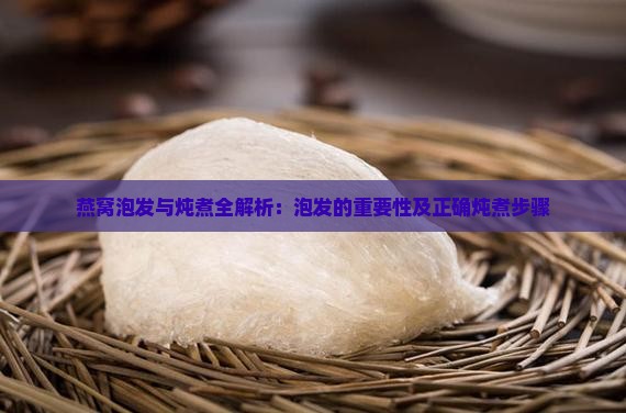 燕窝泡发与炖煮全解析：泡发的重要性及正确炖煮步骤